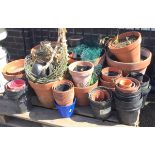 A quantity of terracotta and plastic garden pots & hanging baskets. (A lot)