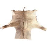 A 7ft tanned antelope skin with long tail. (84in x 58in)