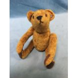 A plush Steiff bear with suede paws, hunch back, stitched snout, jointed body, glass eyes, etc., -