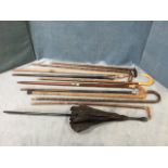 A collection of old walking sticks, several with hallmarked silver mounts, ebony canes, horn