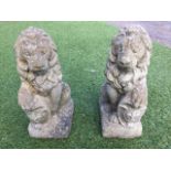 A pair of composition stone lions, the beasts seated on their haunches with rectangular plinths,