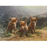 Jan Nathan, lithographic print of three fox cubs in landscape, titled Three Little Foxes, signed and