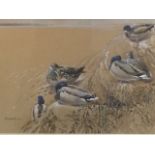 Ennion, watercolour, ducks resting on shore-line bank with distant seascape, titled to verso
