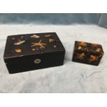 A Japanese lacquered games box, the hinged lid decorated with a butterfly, snail, grasshopper,