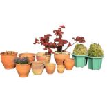 A graduated set of four red stoneware garden pots with crescent shaped sgraffito friezes; a