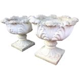 A pair of composition stone garden urns with scalloped leaf cast pots on square plinths, with curled