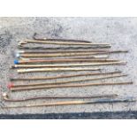 A collection of miscellaneous canes and sticks including hazel, a John Bennett snooker cue, golfball