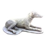 A composition stone greyhound, the collared dog lying on shaped plinth with curled tail. (26in)