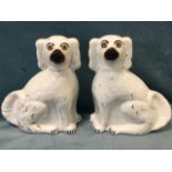 A pair of large Victorian Staffordshire wally dogs, the beasts seated on their haunches with glass