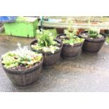 A set four faux barrel tapering garden tubs planted with miscellaneous flowers. (20.5in x 14.5in) (