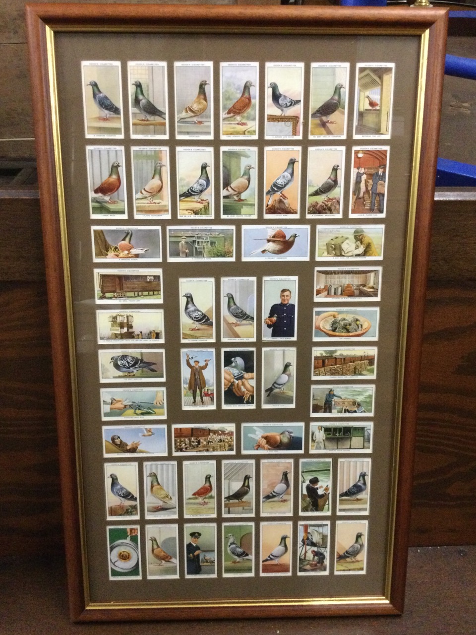 A framed set of Ogden’s racing pigeon cigarette cards, the set of 50 coloured cards under glass,