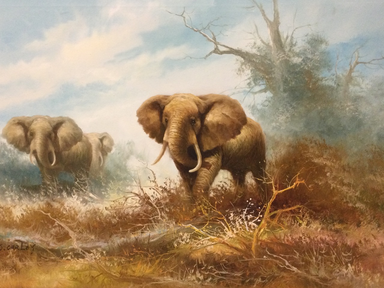 J Carley, oil on canvas, a pair, study of elephants in the bush, signed and framed. (35.75in x 23. - Image 3 of 3