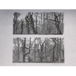 Cordelia Jones, trees, two woodcuts in same mount, signed and numbered in pencil on margin,