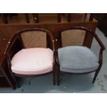 Pair tub chairs with cane backs