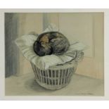 Penny Berry Paterson (1941-2021) five works - pencil and watercolour drawing of cat in laundry baske