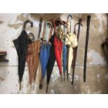 Collection of various walking sticks and umbrellas