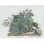 Penny Berry Paterson (1941-2021) colour linocut - Sea Kale, signed and numbered 6/10, image 30cm x 2