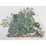 Penny Berry Paterson (1941-2021) colour linocut, Sea Kale, signed, inscribed and numbered 7/10, imag