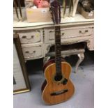 Acoustic guitar in case