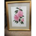 Collection or decorative floral prints, all in glazed frames