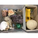 Collection of mineral specimens, some semi precious gem stones, shells and an ostrich egg (1 box)