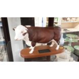 Beswick Polled Hereford Bull