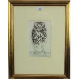 John Norris Wood (1930-2015) pen and ink - Little Owl Perching, 21.5cm x 13cm, in glazed gilt frame
