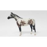 Beswick Appaloosa Stallion, model no. 1772, designed by Arthur Gredington, 19.5cm high