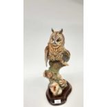 Impressive David Fryer Studio model of a Long - eared Owl, on wooden stand
