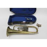 Continental brass rotary flugelhorn