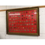 Large glazed frame mounted with approximately 84 British military cap badges (originals and reproduc