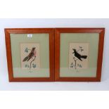 Pair of 19th century style feather bird pictures