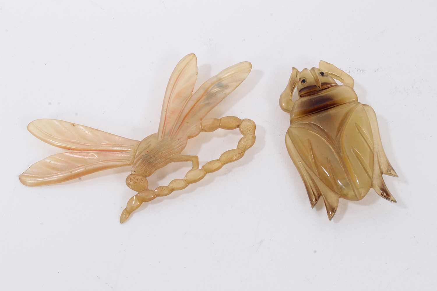 Two early 20th century French carved and stained horn brooches, one in the form of a dragonfly and t