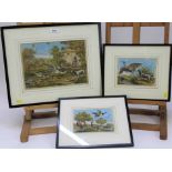 F. Barlow three 18th century hand coloured engravings - Bird Studies, in glazed frames