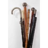 Collection of nine antique walking canes