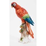 Large continental porcelain model of a parrot, possibly Samson, naturalistically modelled and hand p