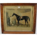 19th century hand coloured engraving after Harry Hall - Voltigeur, Winner of the Derby and St Leger
