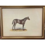 Collection of twenty-six 19th century prints depicting horses, their pedigree verso, 23cm x 33cm, in