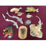 Two preserved Pike heads, four Piranhas, two Dogfish, Ray and Horseshoe Crab
