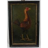 English School oil on panel - a fighting cock, in gilt and ebonised frame