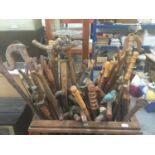 Collection of novelty walking sticks and thumb sticks in wooden stand ( 50 plus )