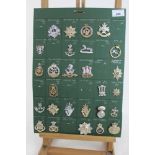 Five boards mounted with British military cap badges, including two of staybrite badges mainly vario