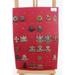Four boards mounted with British military cap badges, various regiments including Suffolk Regiment,