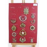 Four boards mounted with British military cap badges, mainly Scottish regiments, some reproductions