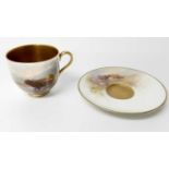 Royal Worcester cabinet cup and saucer with hand painted decoration depicting Highland cattle, signe