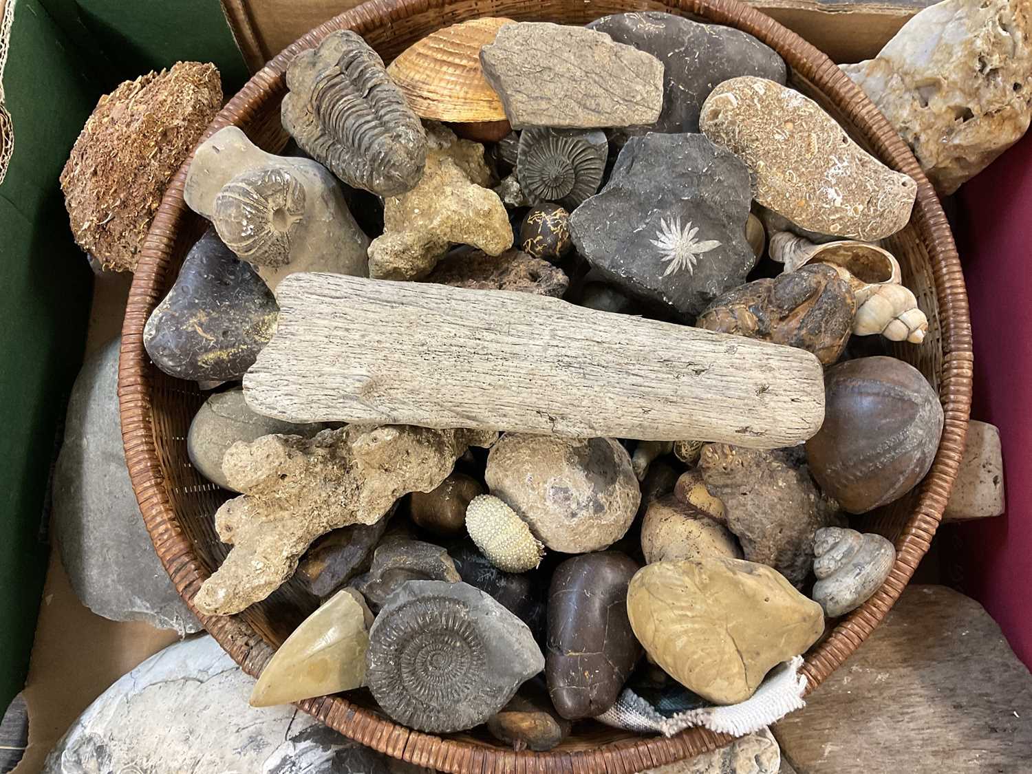 Box of rock specimens - Image 4 of 5