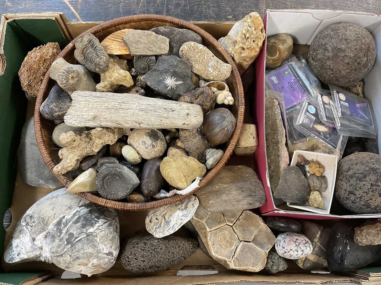 Box of rock specimens