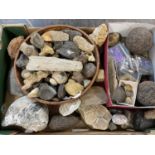 Box of rock specimens