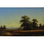 Steven Jeune (19th century) oil - extensive landscape