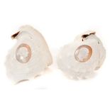 Pair 19th century cameo carved conch shells decorated with profile busts of H.M. Queen Victoria and